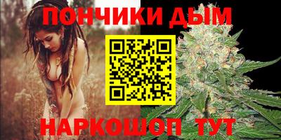 прущие крисы Гусиноозёрск
