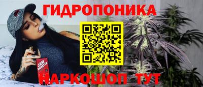 не бодяженный Гусев