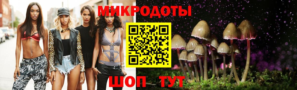 Галлюциногенные грибы Psilocybine cubensis Надым